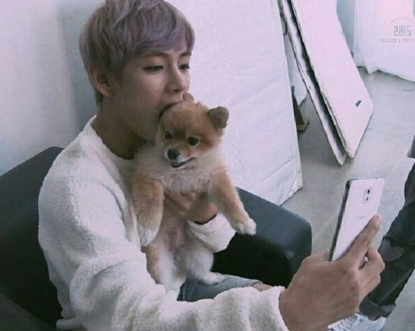 БТС Чимин собака