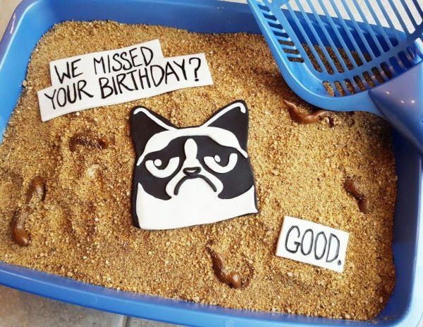 Торт кот Кэт