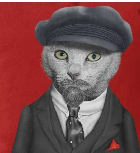 Кот СССР на аву