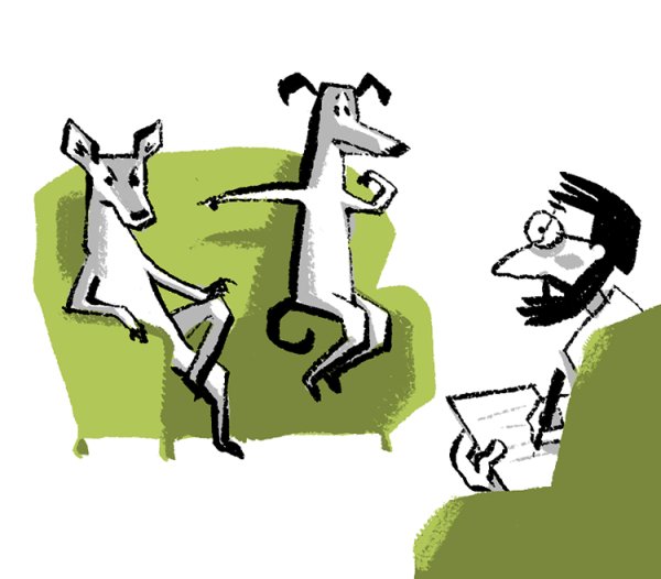 Животные психологи