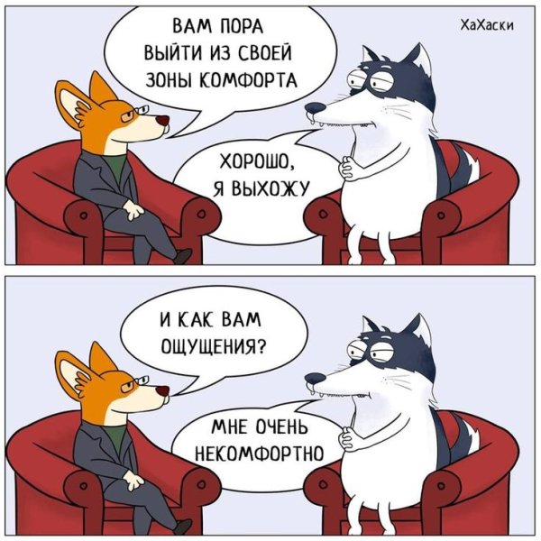 Выход из зоны комфорта мемы