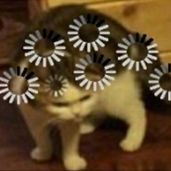 Кошка загрузка