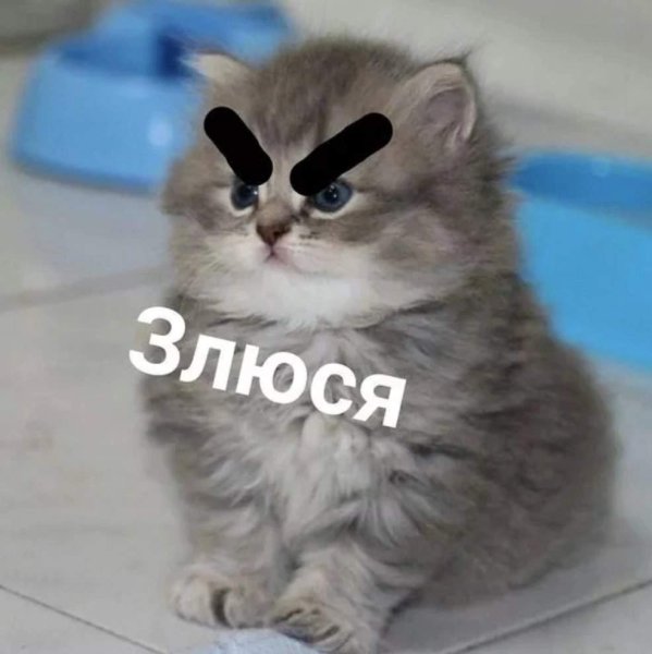 Собака злюся