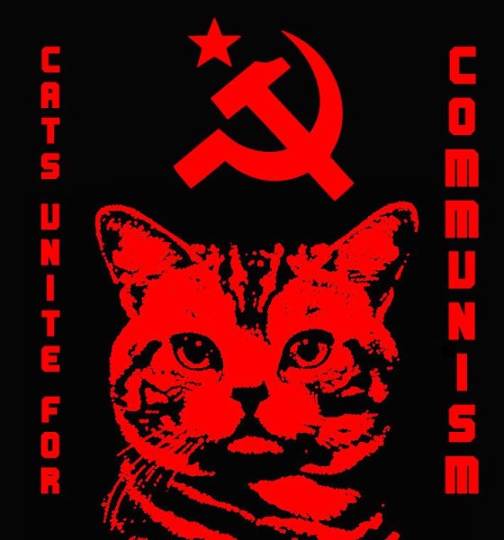 Коты коммунисты