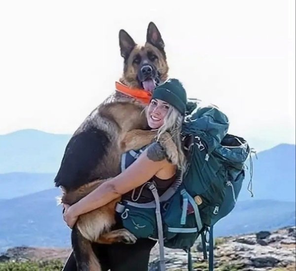 Собака в походе