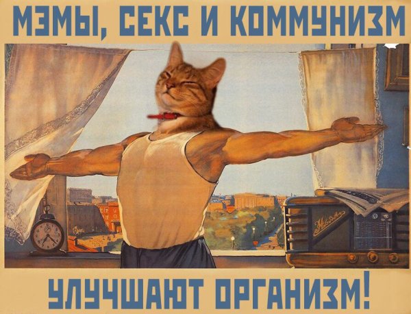 Плакат с карей бы на работу