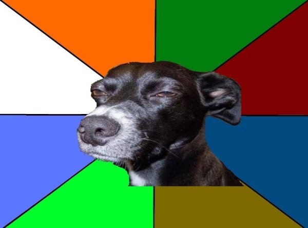 Собака подозревака