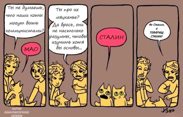 Котик коммунист