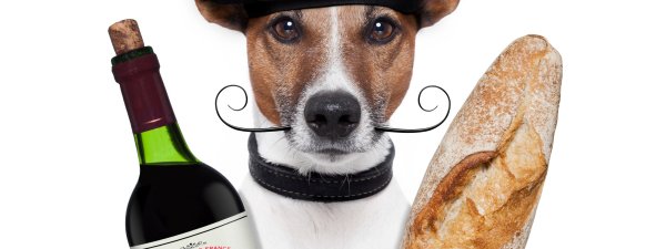 Собака и бутыль