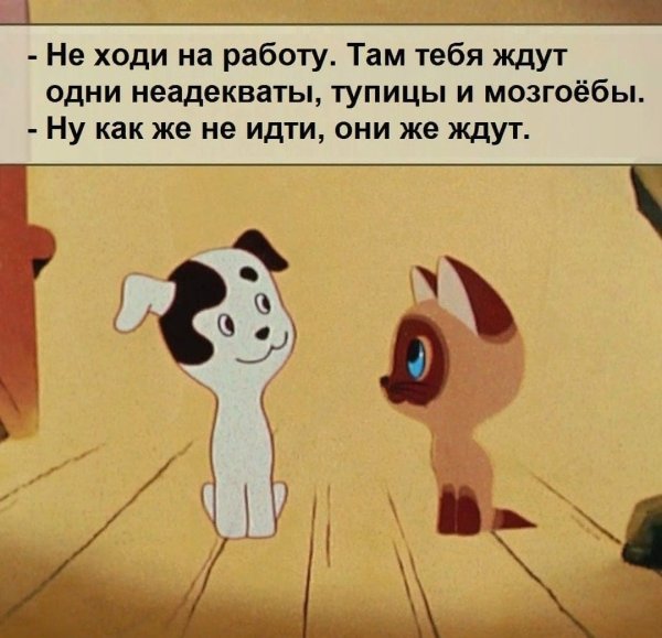 Не ходи на работу там одни неадекваты