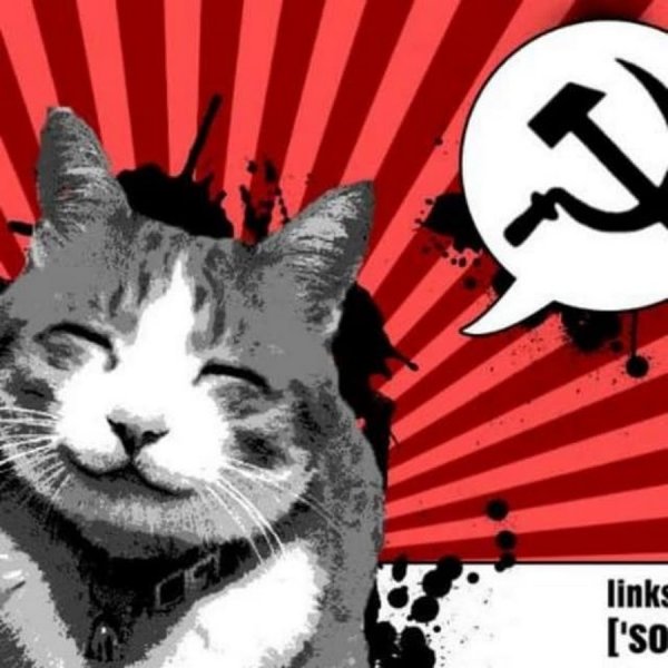 Коты коммунизм