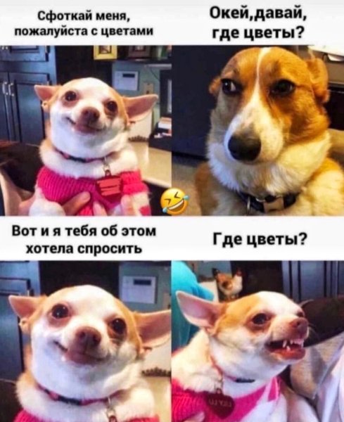 Сфоткай меня пожалуйста с цветами