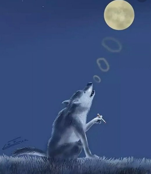 Волк воет на луну