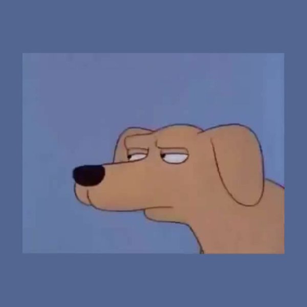 Подозрительный пес Мем