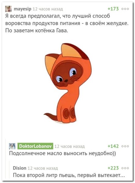 Котенок Гав приколы