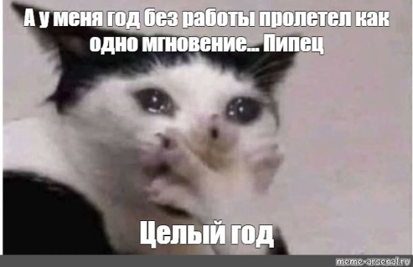 Кот плачет Мем