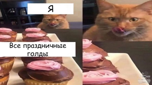 Кот облизывается на еду