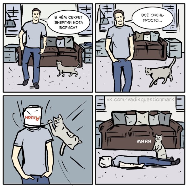 Кот Борис прикол