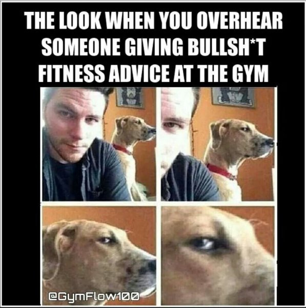 Подозрительно собака