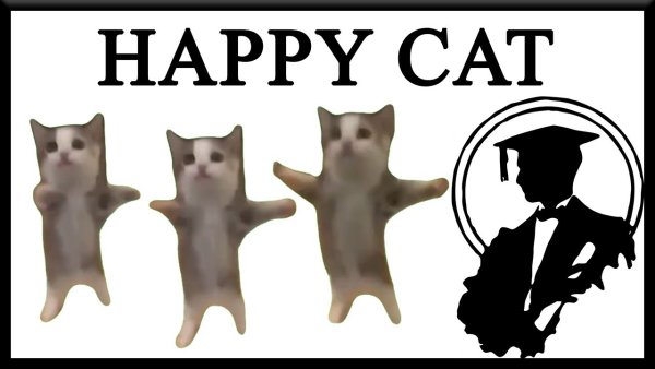 Happy Happy Cat meme