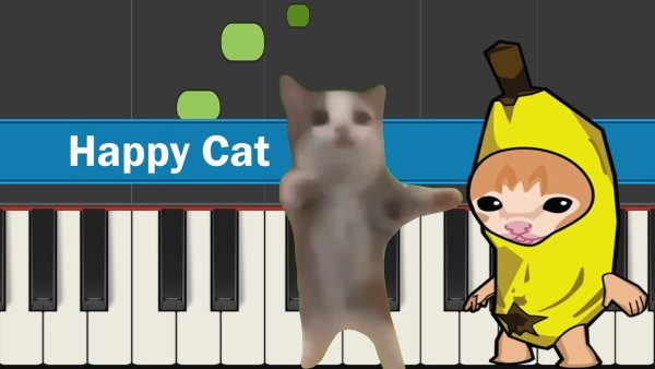 Котик Happy Happy Happy