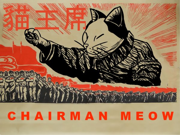 Кот с плакатом