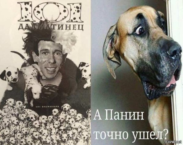 Панин с собакой