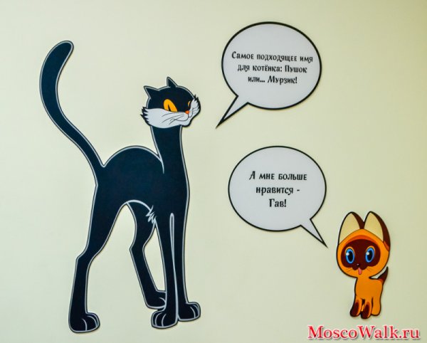 Кот из котенка Гав