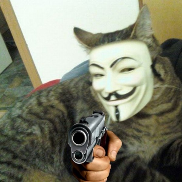 Кот Аноним