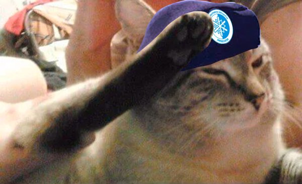 Отдать честь Мем