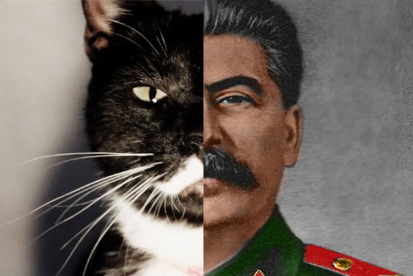 Ко. Походий на гэсталина