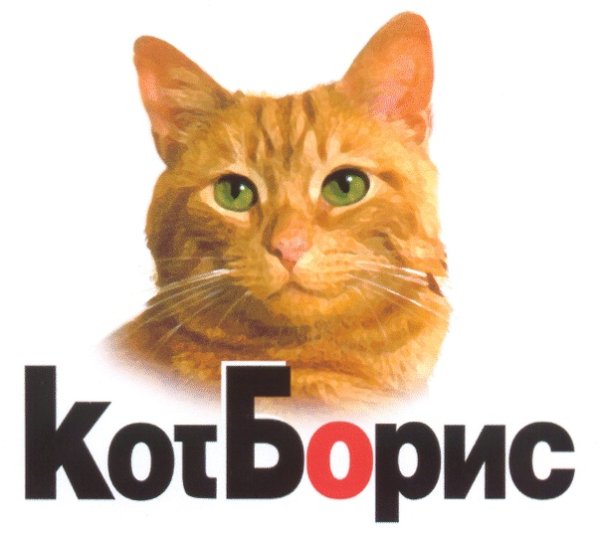 Кот Борис рыжий