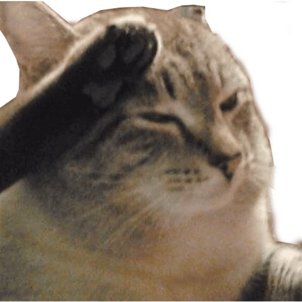 Кот с лапой у Виска