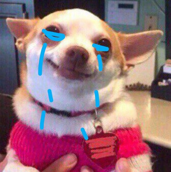 Кот и собака с пузырем из носа