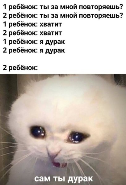 Платбщий кот Меи