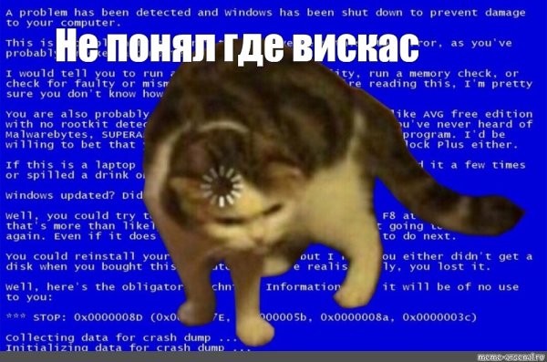 Кот загрузка