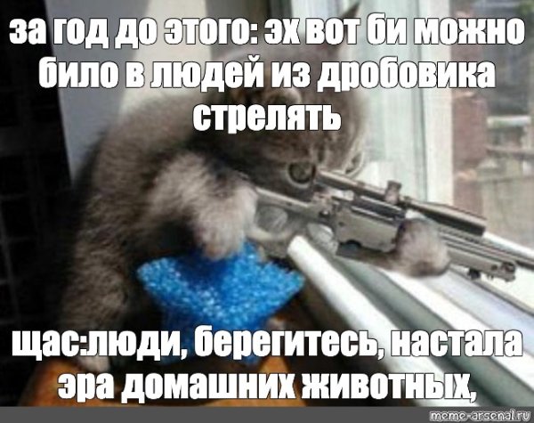 Мем стрельбы из дробовика