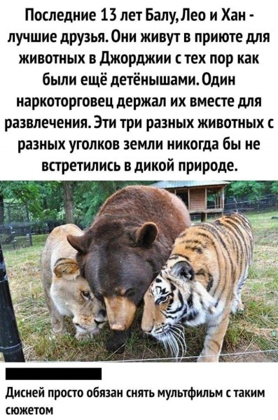 Анекдоты про животных