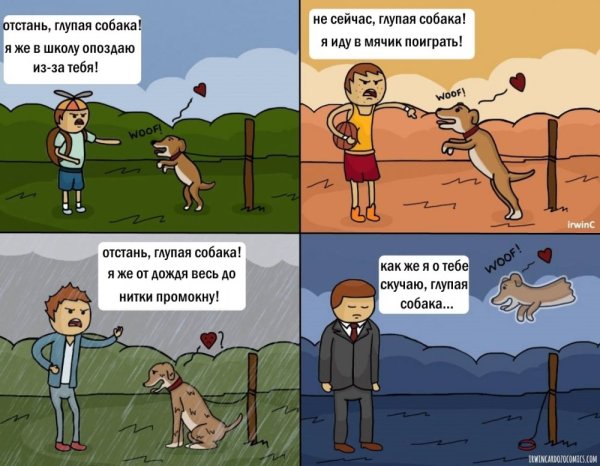 Мемы с собаками