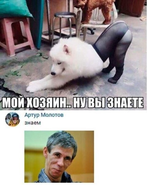 Панин приколы
