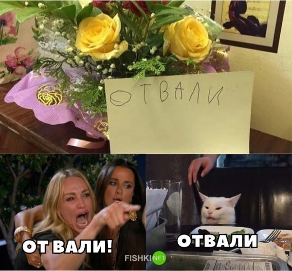 Кот осуждает Мем