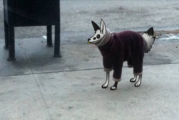 Собака в куртке Мем