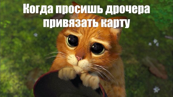 Кот из Шрека