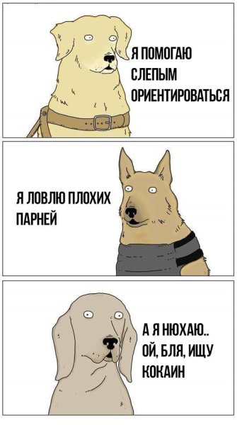 Комиксы про собак