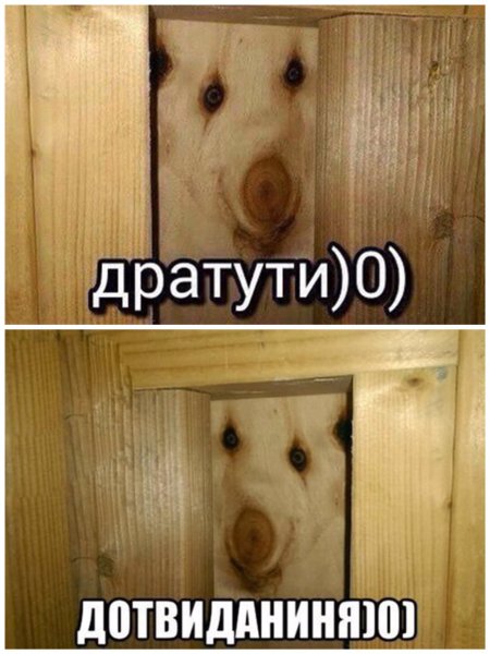 Дратути дотвиданиня