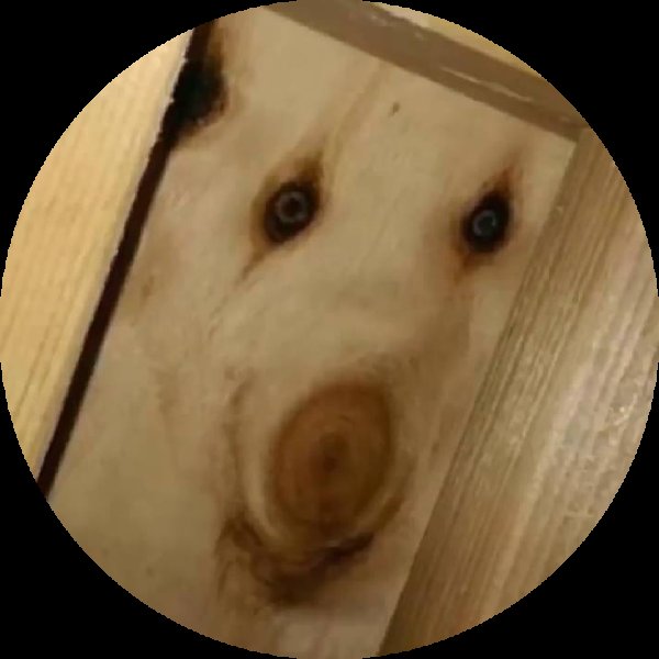 Дратути дерево