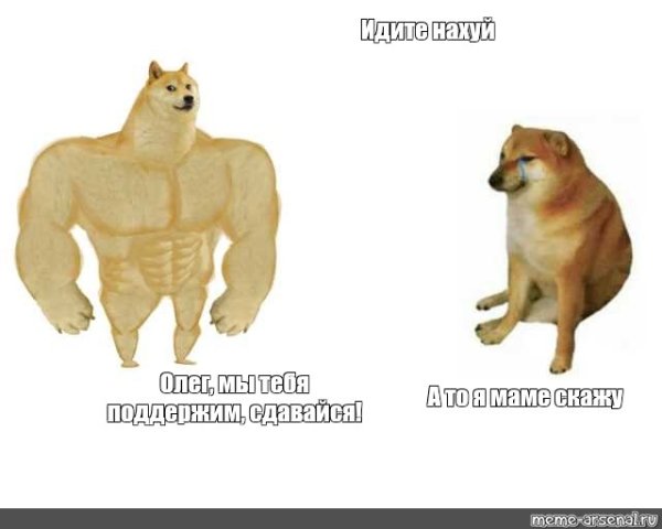 Doge качок