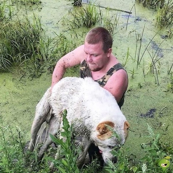 Садовников Федор Викторович Иркутск