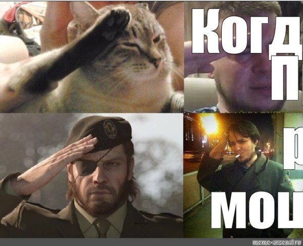 Кот отдает честь Мем