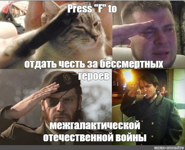 Кот отдает честь